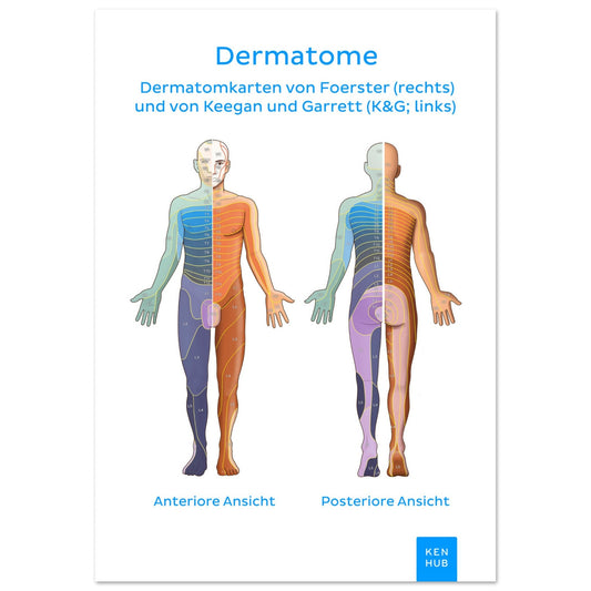 Dermatome #poster# by ARTEXPRESSO