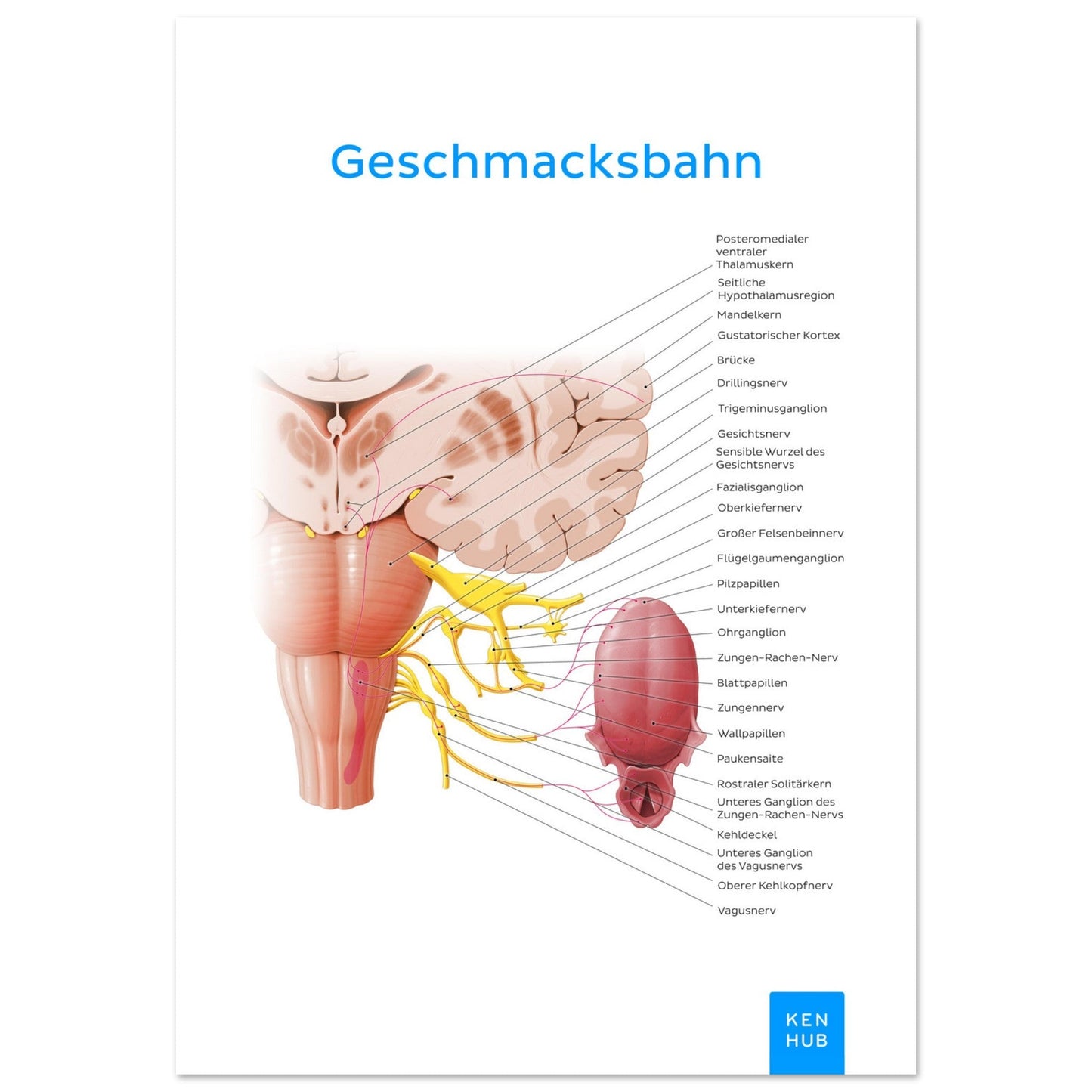 Geschmacksbahn (Deutsch) #poster# by ARTEXPRESSO