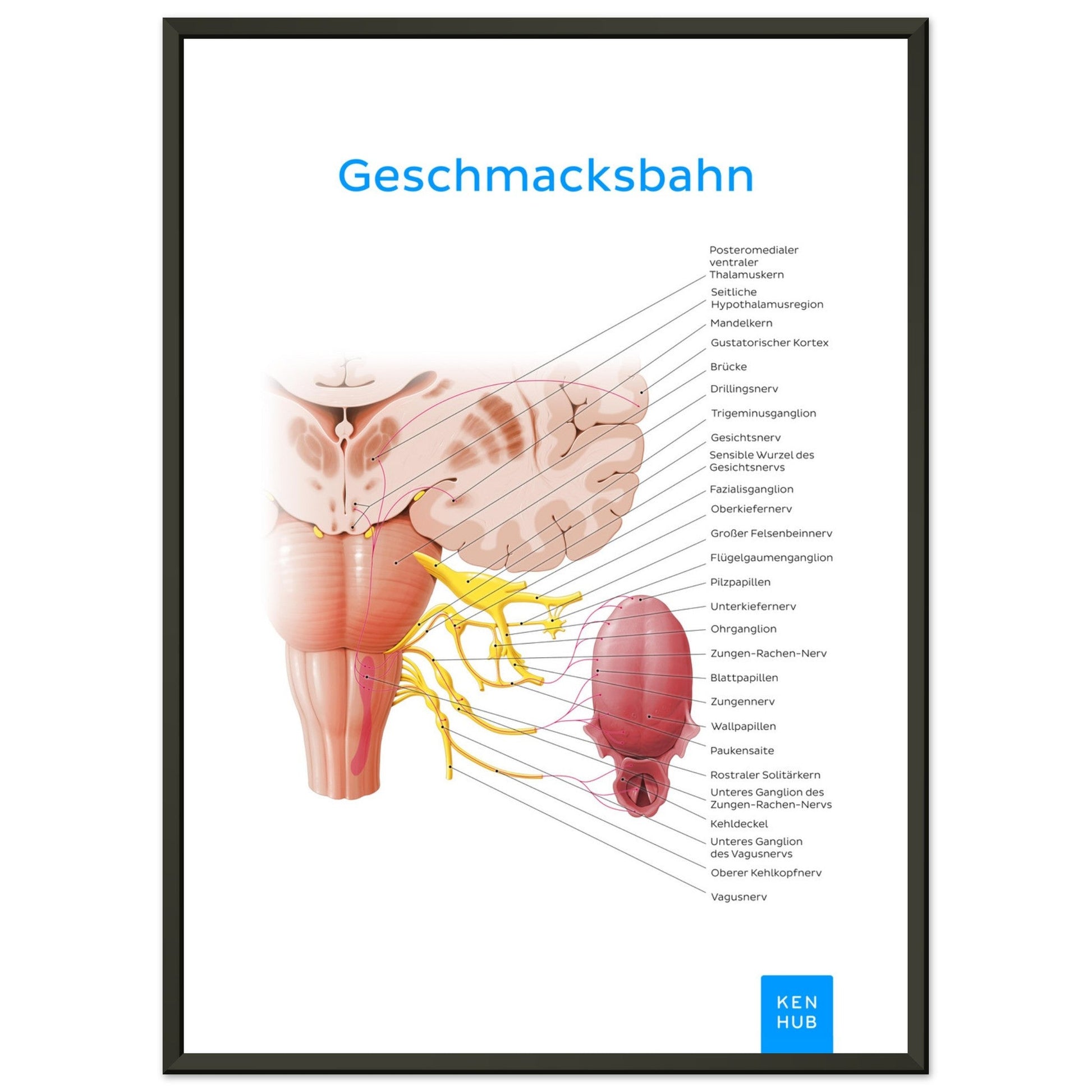 Geschmacksbahn (Deutsch) #poster# by ARTEXPRESSO