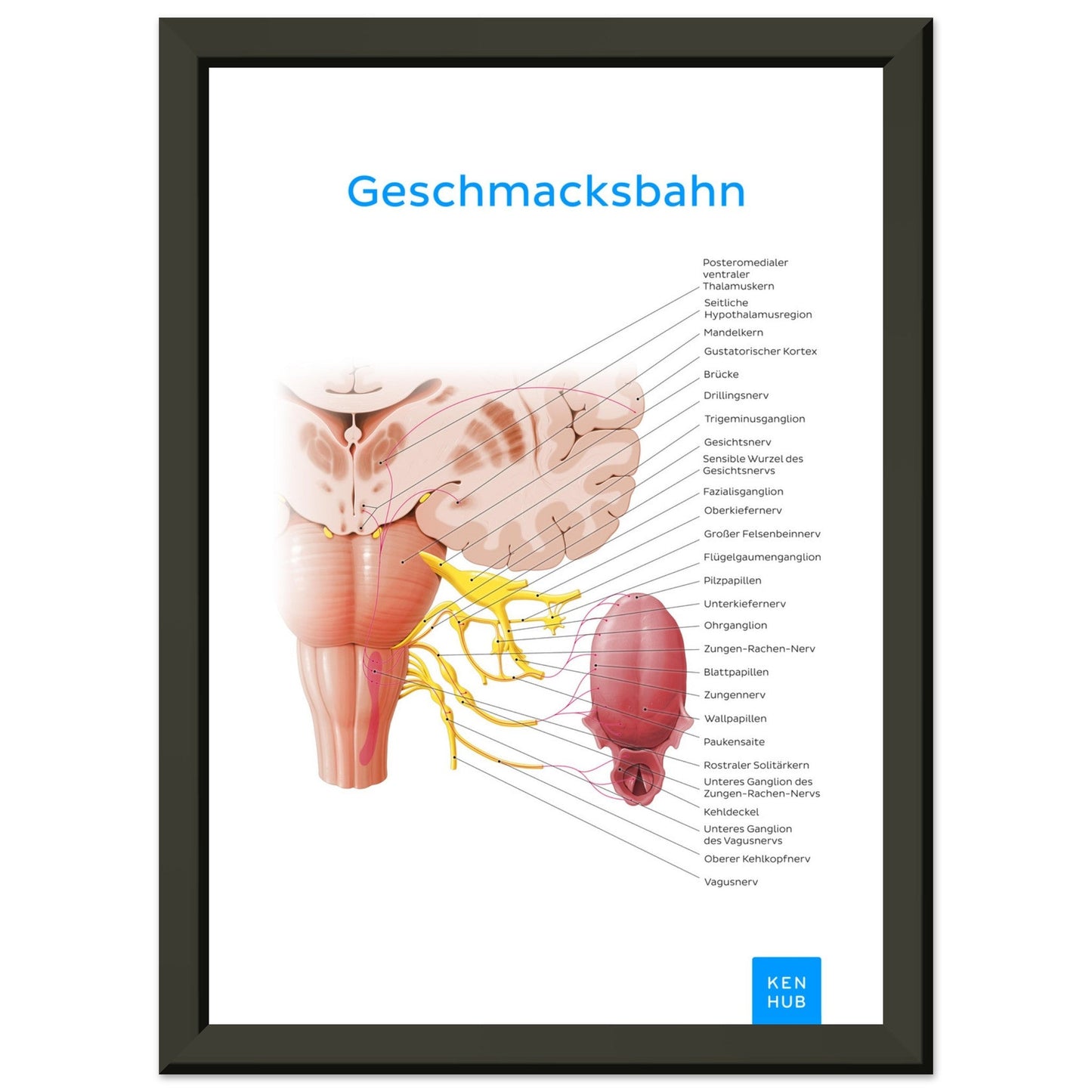 Geschmacksbahn (Deutsch) #poster# by ARTEXPRESSO