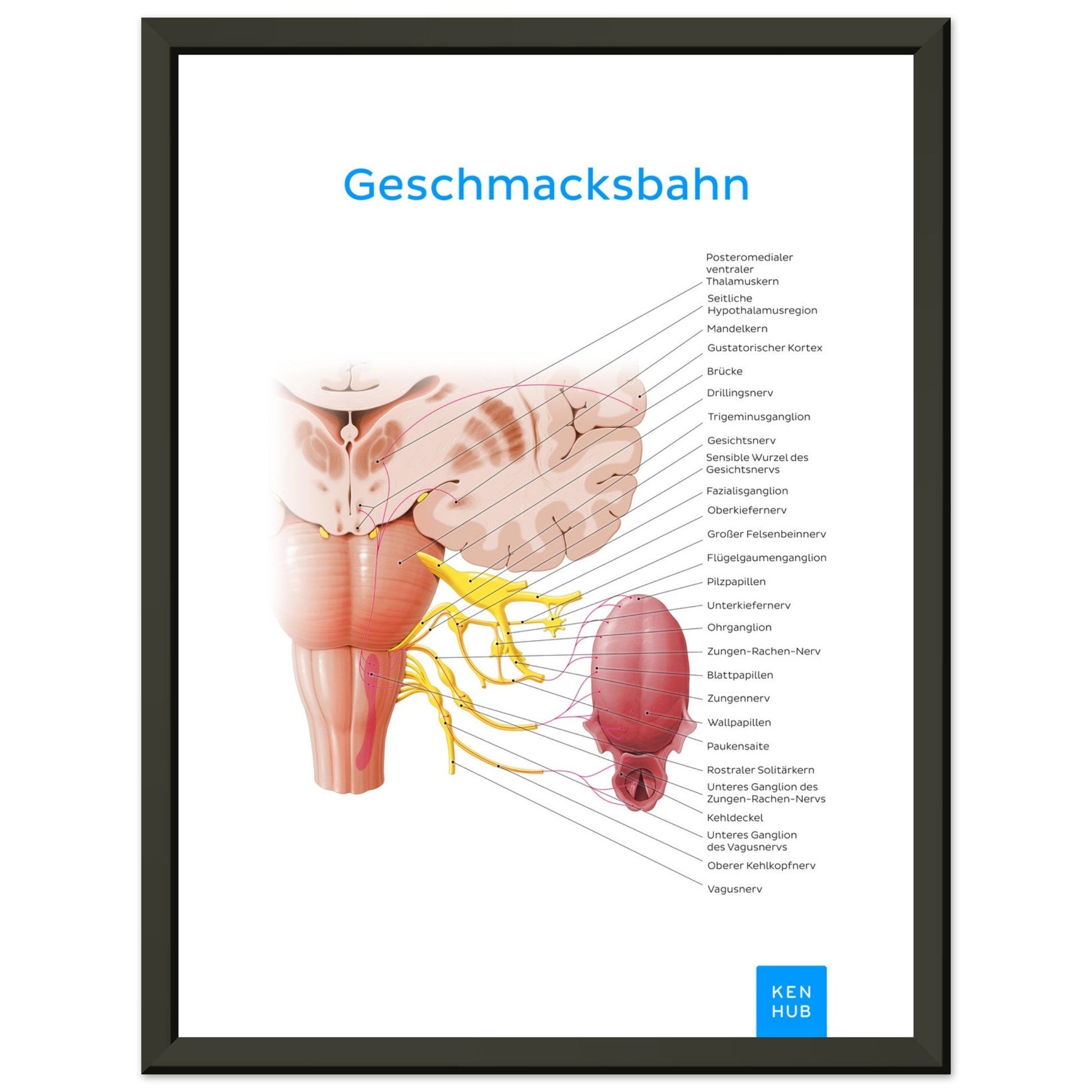 Geschmacksbahn (Deutsch) #poster# by ARTEXPRESSO