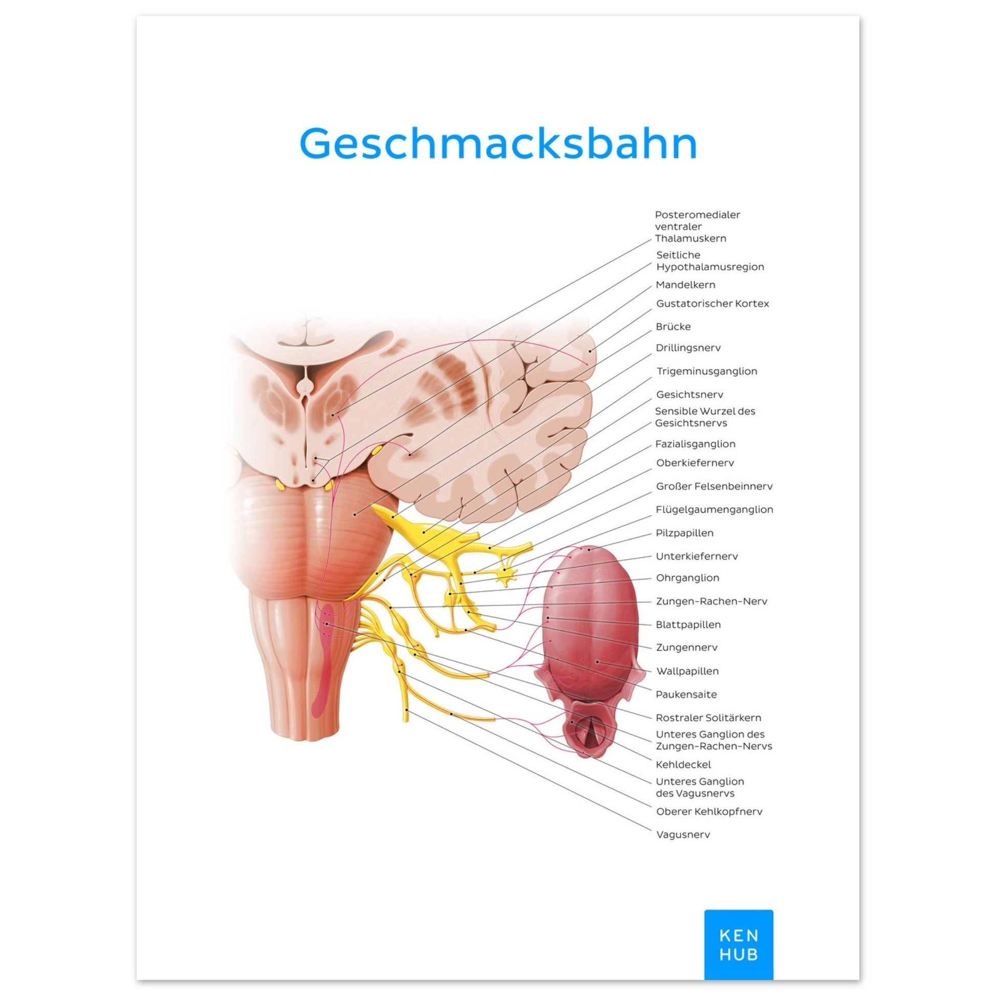 Geschmacksbahn (Deutsch) #poster# by ARTEXPRESSO