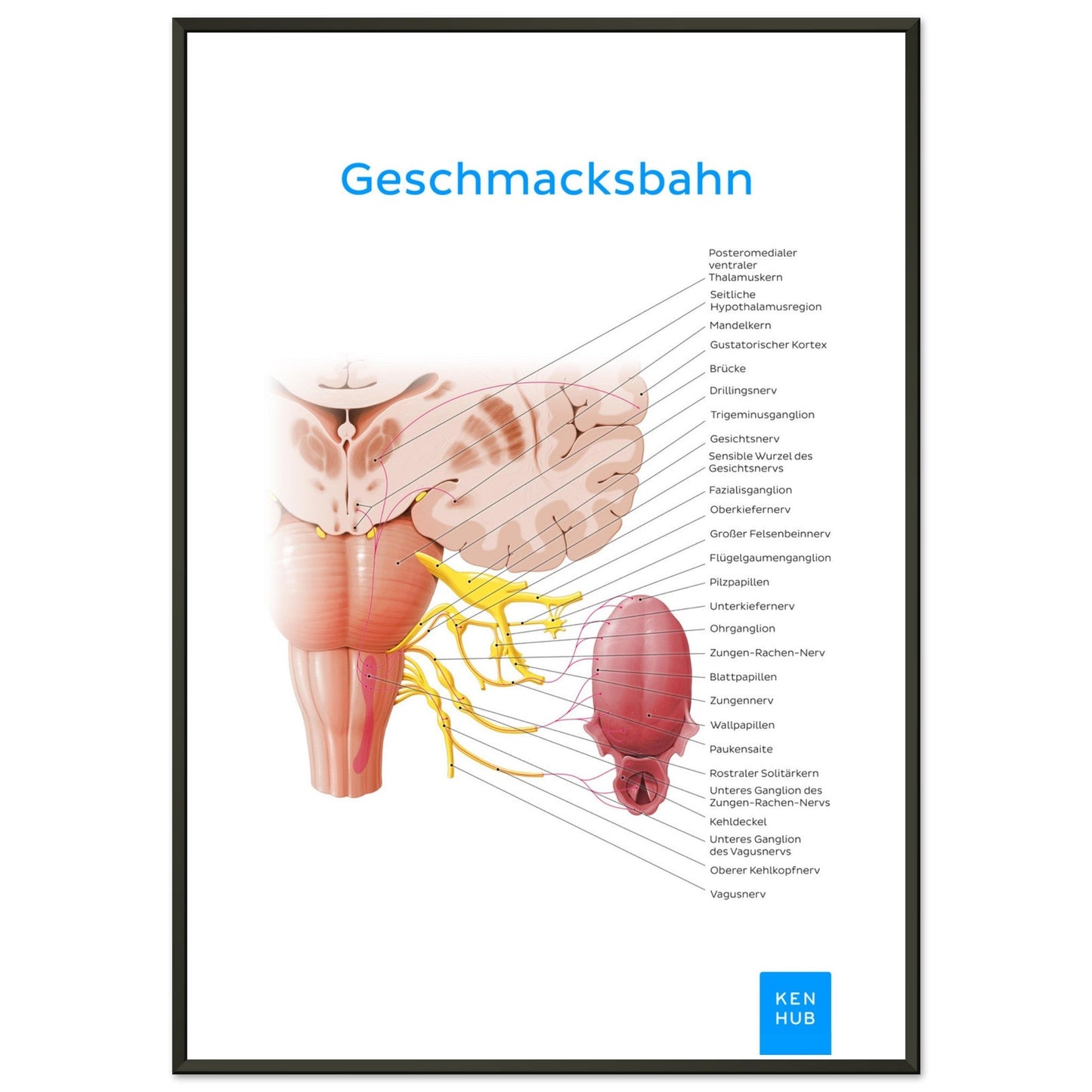 Geschmacksbahn (Deutsch) #poster# by ARTEXPRESSO