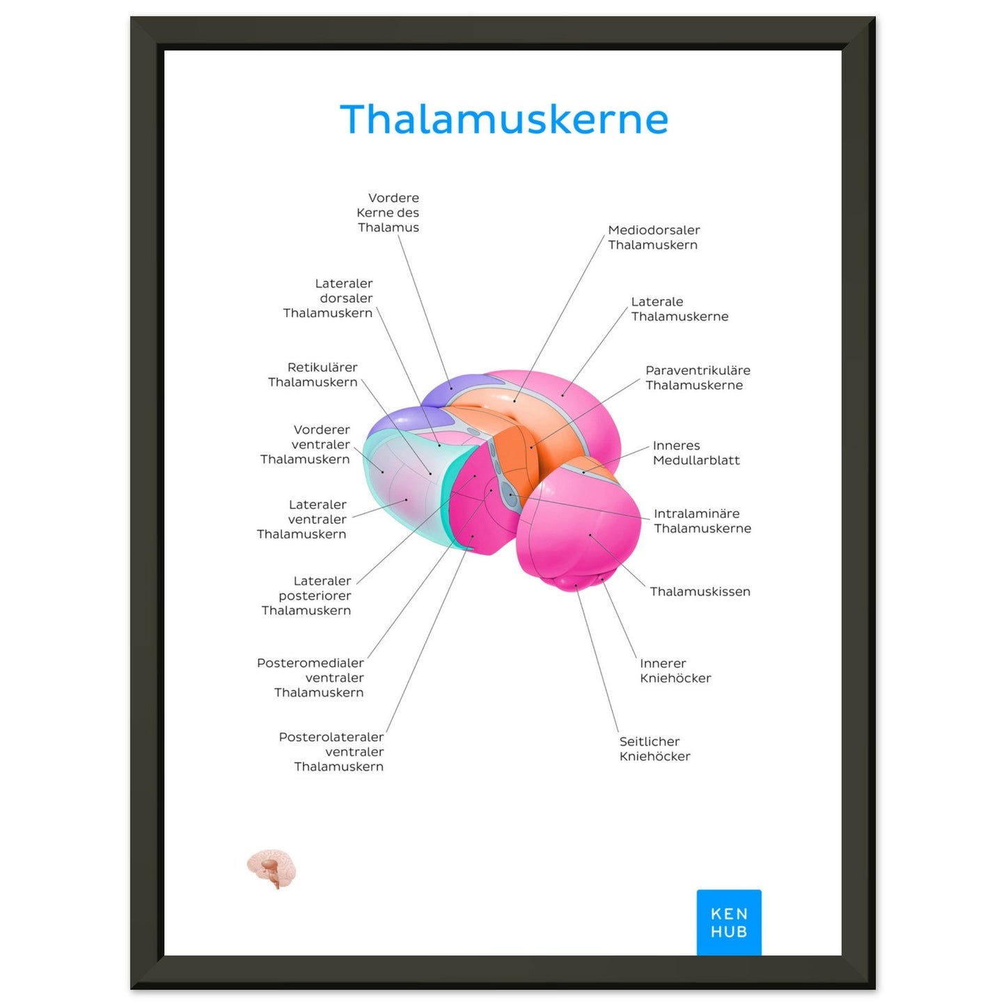 Thalamuskerne (Deutsch) #poster# by ARTEXPRESSO